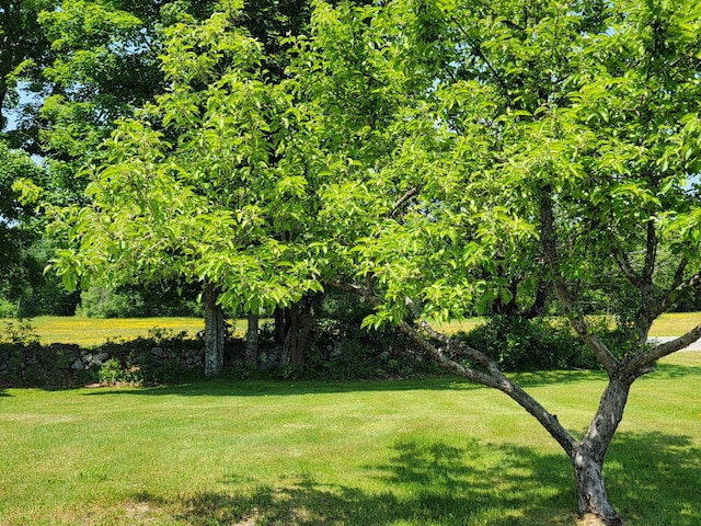 183 Folsom Pond Rd, Lincoln, ME 04457 - view of grassy yard