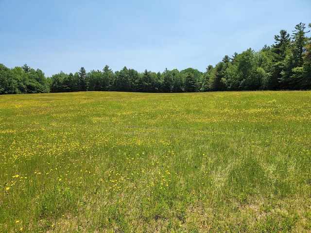 183 Folsom Pond Rd, Lincoln, ME 04457 - view of woods