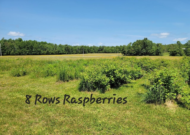 183 Folsom Pond Rd, Lincoln, ME 04457 - view of tree filled area with a view of rural / pastoral area
