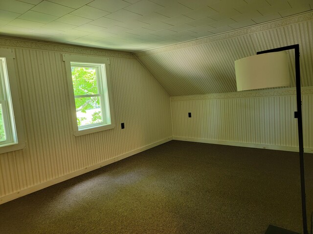 183 Folsom Pond Rd, Lincoln, ME 04457 - additional living space with healthy amount of natural light, vaulted ceiling, and dark colored carpet