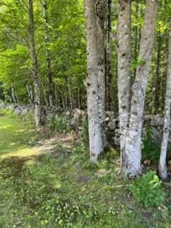 183 Folsom Pond Rd, Lincoln, ME 04457 - view of nature