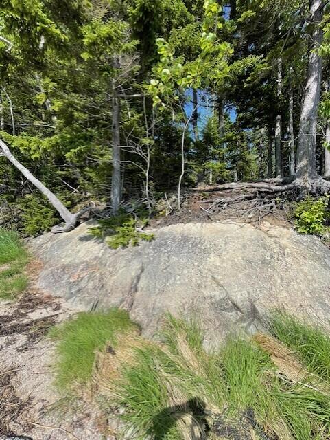 LOT15-5 Fort Williams Rd, Harrington, ME 04643