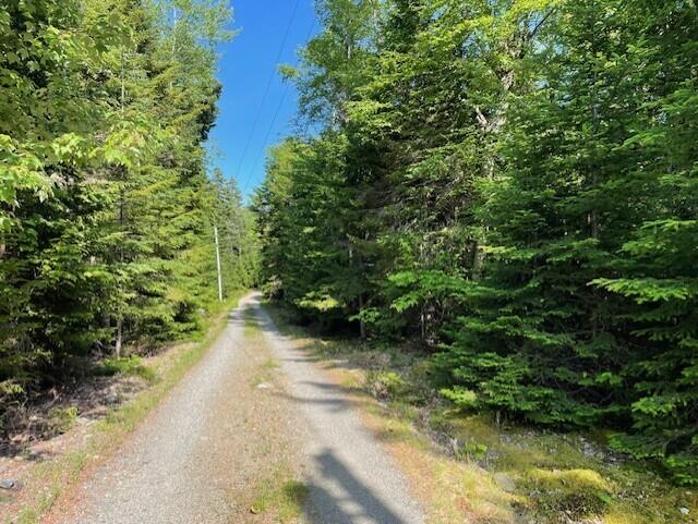 LOT15-5 Fort Williams Rd, Harrington, ME 04643