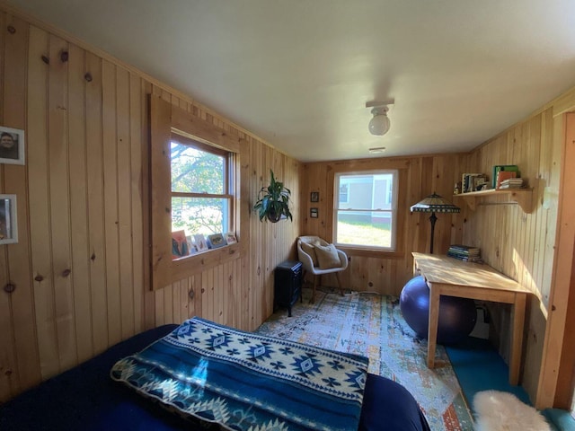 6 Chicken St, Starks, ME 04911 - bedroom with multiple windows and wooden walls