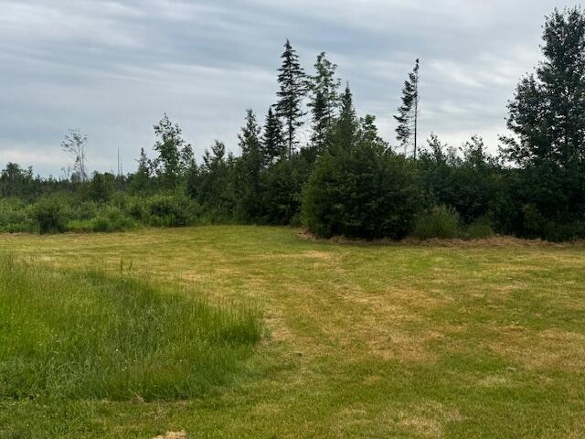 238 Shadagee Rd, Cornville, ME 04976 - view of woods