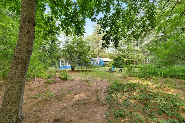 97 Forest Ave, Orono, ME 04473 - view of yard