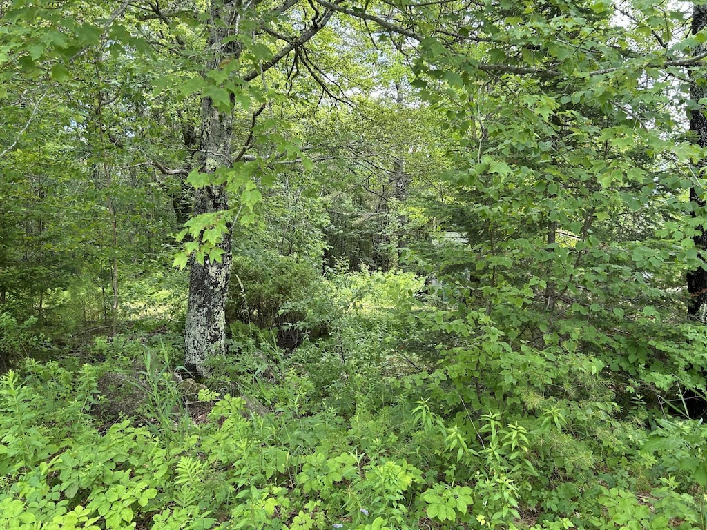 172 Vannah Rd, Nobleboro, ME 04555