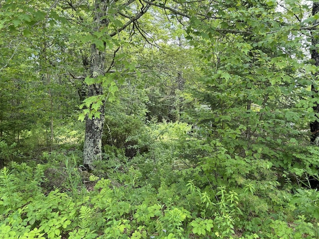 172 Vannah Rd, Nobleboro, ME 04555