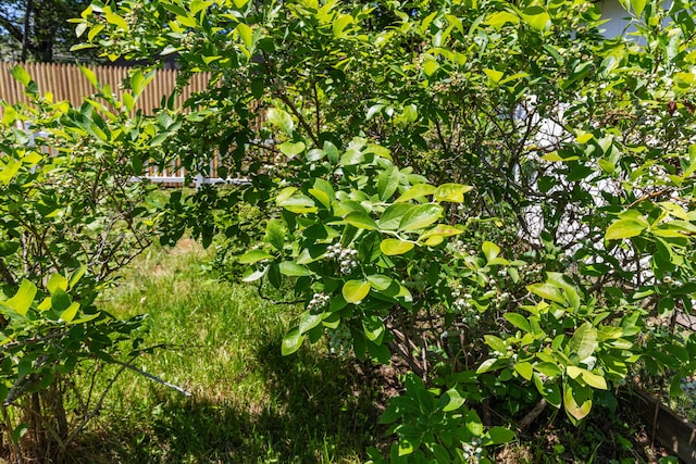 48 Hall St, South Portland, ME 04106 - photo 26