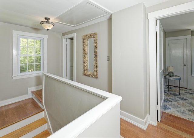 302 Townsend Ave, Boothbay Harbor, ME 04538 - hall with light wood-style floors and attic access