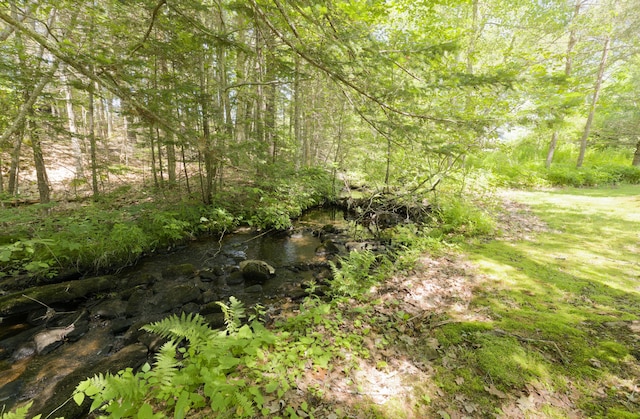 302 Townsend Ave, Boothbay Harbor, ME 04538 - view of wooded area
