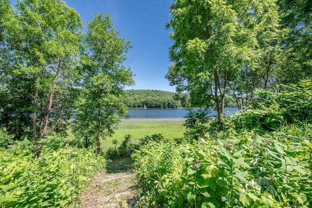 4 Riverview Dr, Gardiner, ME 04345 - photo 48