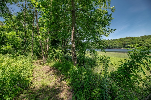 4 Riverview Dr, Gardiner, ME 04345 - photo 67
