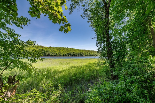4 Riverview Dr, Gardiner, ME 04345 - photo 50