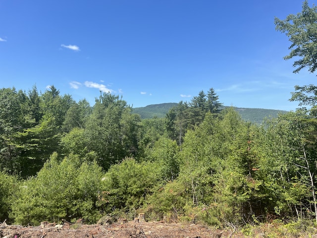 50 Thunder Snow Rd, Bethel, ME 04217 - photo 10