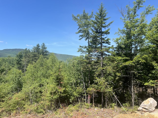 50 Thunder Snow Rd, Bethel, ME 04217 - photo 11