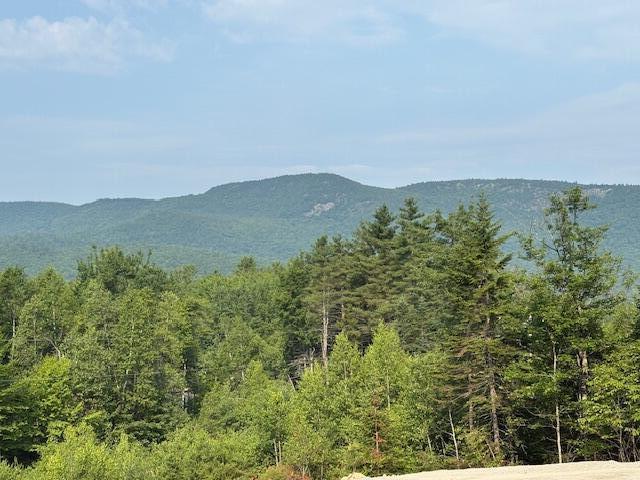 50 Thunder Snow Rd, Bethel, ME 04217 - photo 8