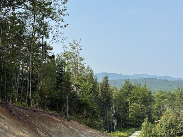 50 Thunder Snow Rd, Bethel, ME 04217 - photo 9