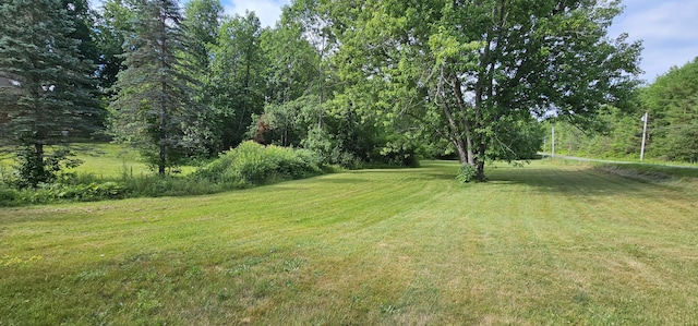 987 Clinton Ave, Winslow, ME 04901 - view of green lawn