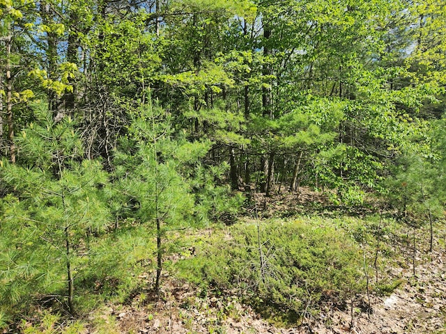 MAPR121 Alna Rd, Alna, ME 04535