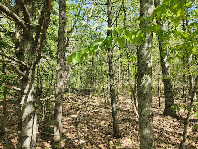 MAPR121 Alna Rd, Alna, ME 04535