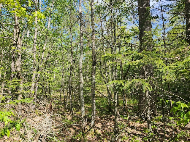 MAPR121 Alna Rd, Alna, ME 04535