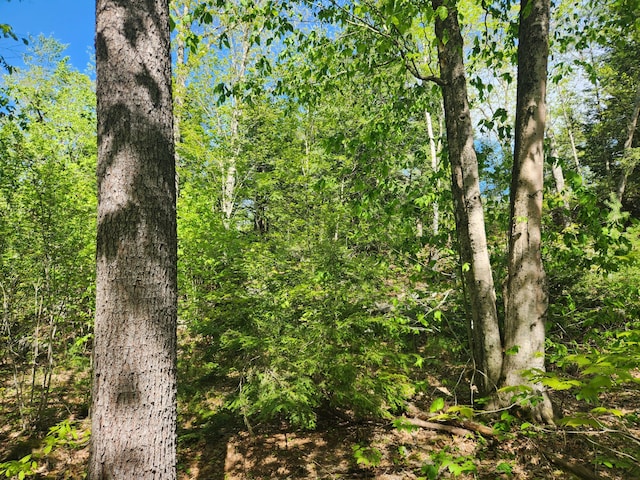MAPR121 Alna Rd, Alna, ME 04535