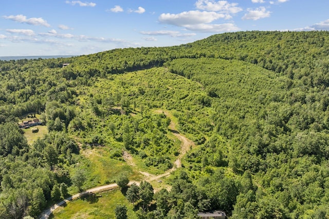 LOT29 Saddleback Rd, Baldwin, ME 04091