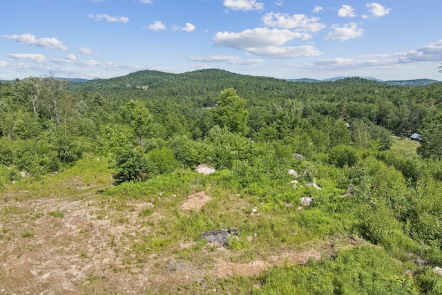 LOT29 Saddleback Rd, Baldwin, ME 04091