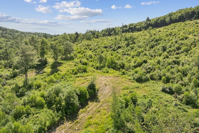LOT29 Saddleback Rd, Baldwin, ME 04091