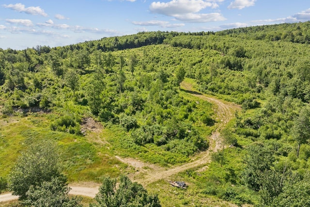 LOT29 Saddleback Rd, Baldwin, ME 04091