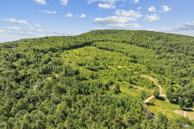 LOT29 Saddleback Rd, Baldwin, ME 04091