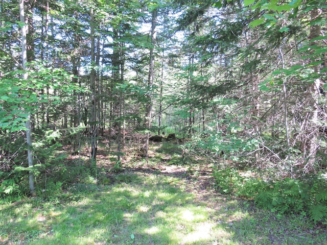 LOT34 Woodmans Mil Rd, Searsmont, ME 04973 - photo 6