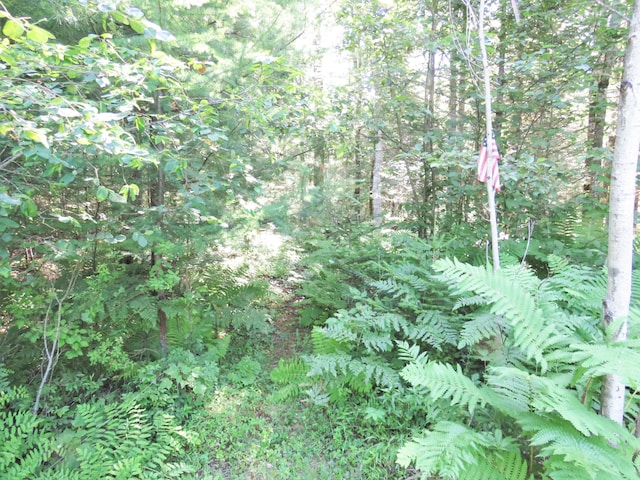 LOT34 Woodmans Mil Rd, Searsmont, ME 04973 - photo 8