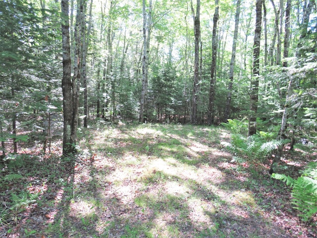 LOT34 Woodmans Mil Rd, Searsmont, ME 04973 - photo 3