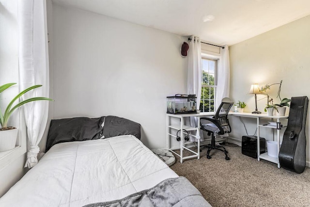 10 Empire Way, Portland, ME 04103 - photo 18