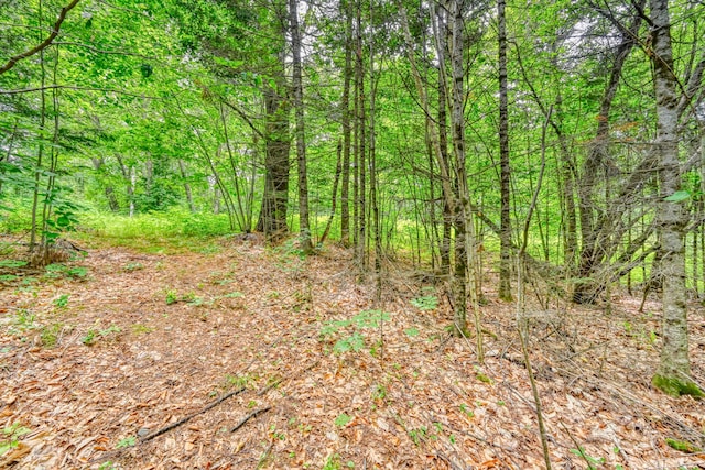 44 S Colby Rd, Somerville, ME 04348 - photo 1