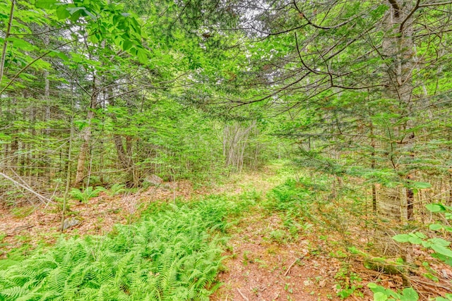 44 S Colby Rd, Somerville, ME 04348 - photo 4