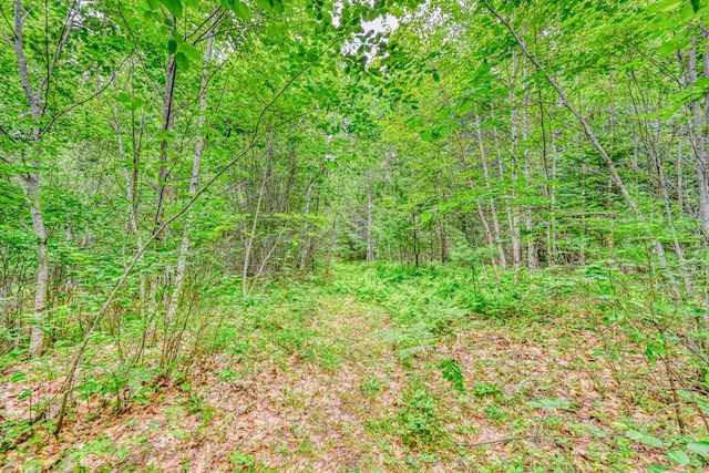44 S Colby Rd, Somerville, ME 04348 - photo 8