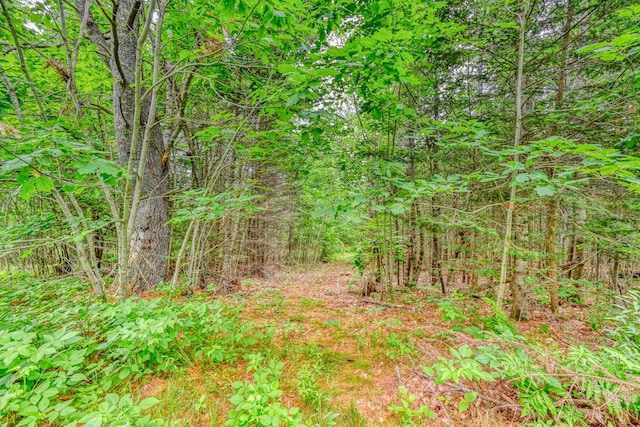 44 S Colby Rd, Somerville, ME 04348 - photo 9