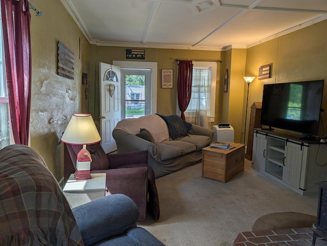 419 Common Rd, Union, ME 04862 - living room featuring carpet floors and ornamental molding