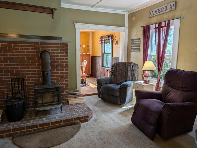 419 Common Rd, Union, ME 04862 - living room featuring a wood stove and carpet