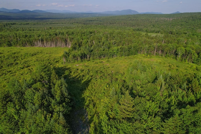 LOT2 E Ridge Dr, Greenville, ME 04441