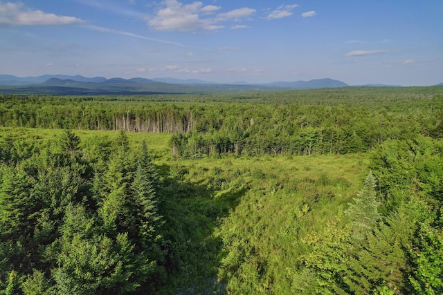 LOT2 E Ridge Dr, Greenville, ME 04441