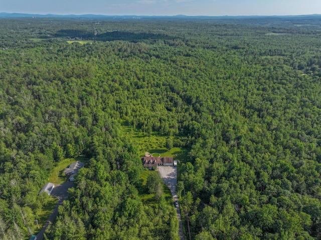 78 Lakeview Rd, Glenburn, ME 04401 - aerial view of property's location featuring a forest
