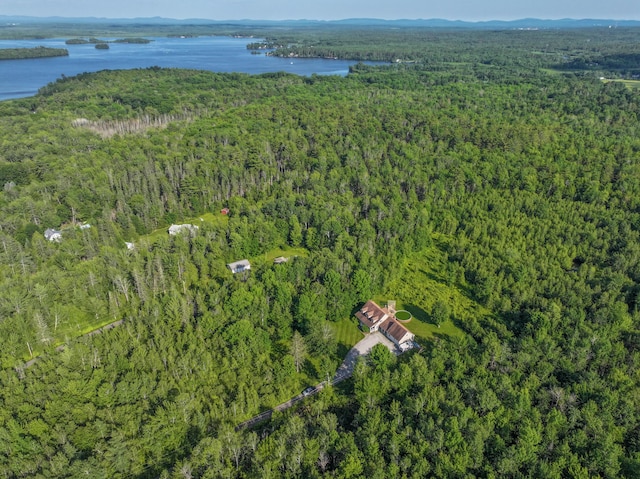 78 Lakeview Rd, Glenburn, ME 04401 - aerial overview of property's location featuring a forest and a water and mountain view