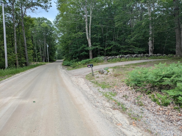 17 Doris Ln, Parsonsfield, ME 04047 - photo 48