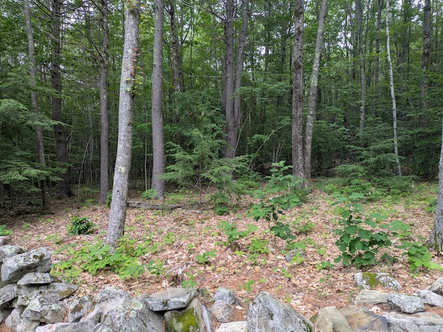 17 Doris Ln, Parsonsfield, ME 04047 - photo 43