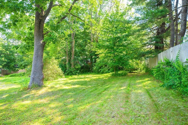 152 Anthoine St, South Portland, ME 04106 - photo 10