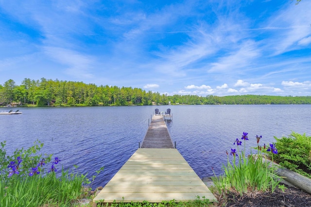53 Loon Cv, Palermo, ME 04354 - photo 45